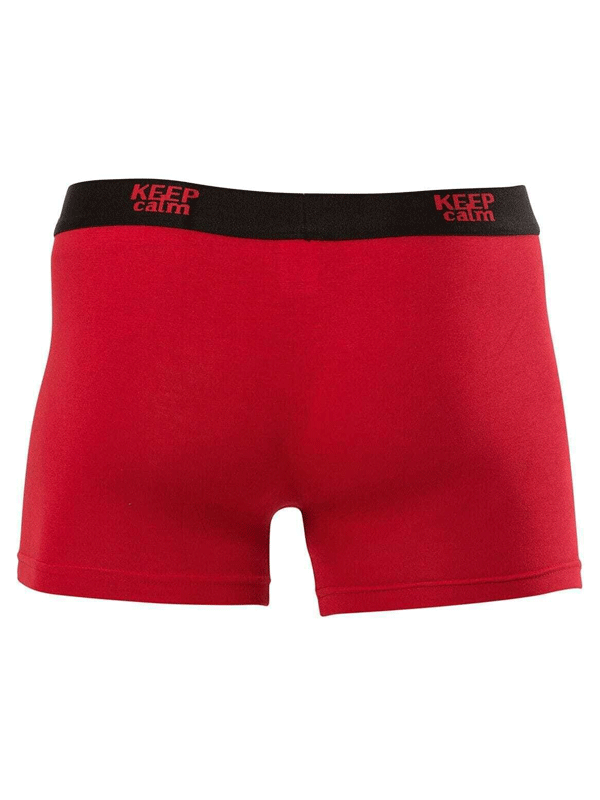 MODAL ERKEK BOXER 001266 - 6