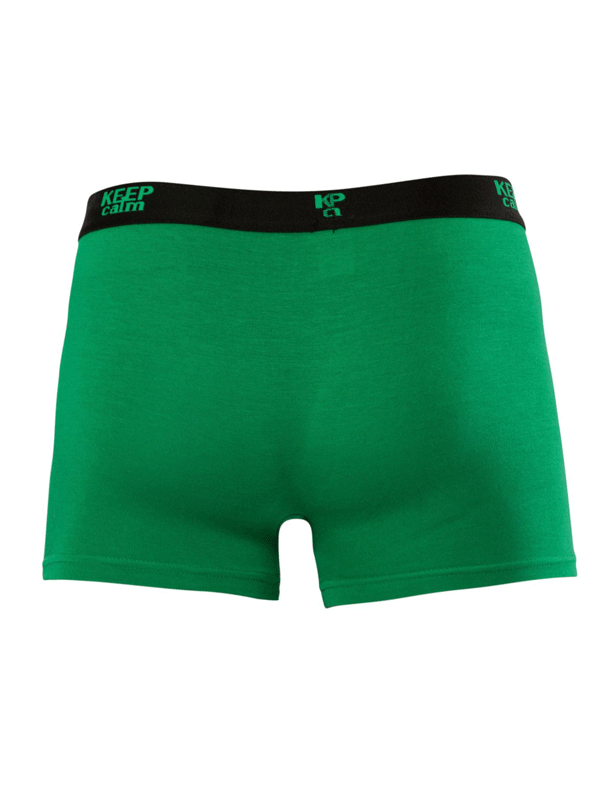 MODAL ERKEK BOXER 001266 - 9