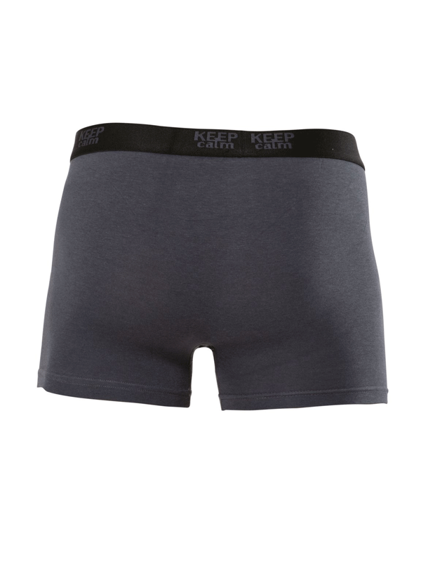 MODAL ERKEK BOXER 001266 - 12